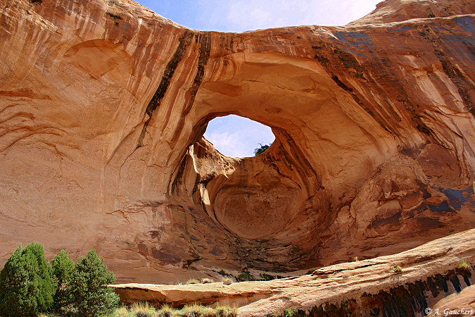 Bow Tie Arch